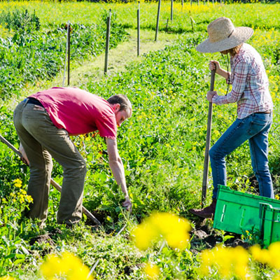 Lynda in the Sonoma community